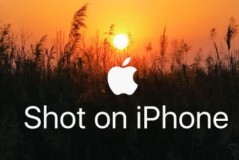 shot on iphone是什么梗，一杯shot什么意思